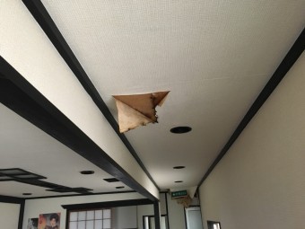 雨漏りで剥がれてきた天井クロス