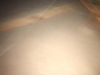 屋根裏異常なし