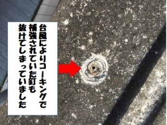 釘も抜けてしまっていました