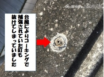 釘も抜けてしまっていました
