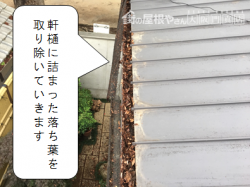守口市 軒樋落ち葉掃除