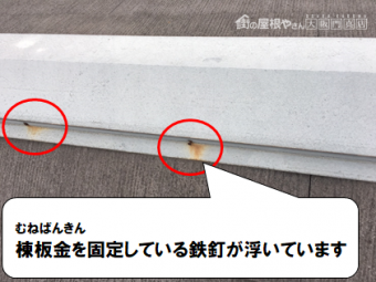 守口市 棟板金を固定している鉄釘が浮いています