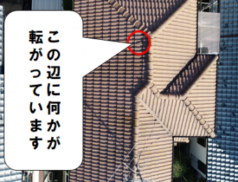 交野市 屋根に何かが転がっています