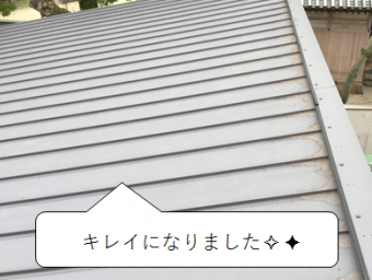 守口市 屋根の上の落ち葉掃除