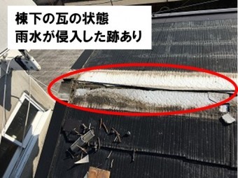 棟下の状態