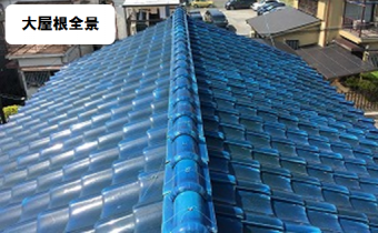 大屋根全景写真