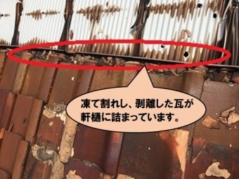 雨漏り修理 剥離した瓦で軒樋詰まり