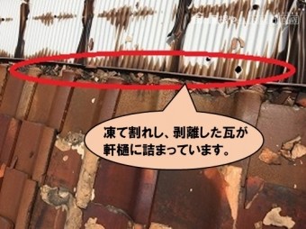 雨漏り修理 剥離した瓦で軒樋詰まり