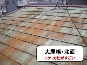 コケ・カビがはえている大屋根