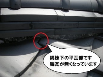 隅棟下、平瓦部、鱗瓦がなくなっている