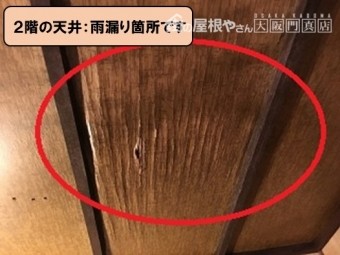 雨漏り箇所の天井