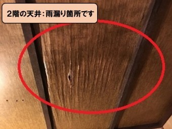 雨漏り箇所の天井
