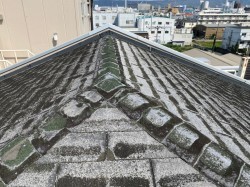 守口市 施工前