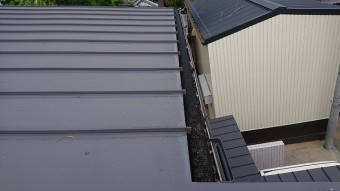 落ち葉米ネットの隙間に落ち葉が挟まっています。