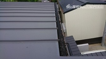 落ち葉米ネットの隙間に落ち葉が挟まっています。