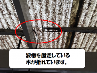 寝屋川市 波板を固定する木が折れた