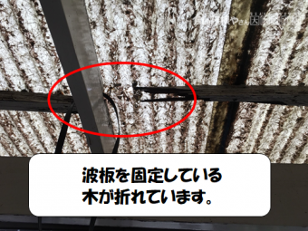 寝屋川市 波板を固定する木が折れた