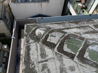 シングルの同質棟が劣化してますね。