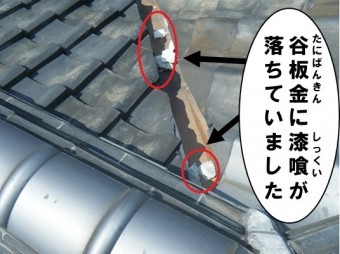 谷板金に漆喰が落ちていました