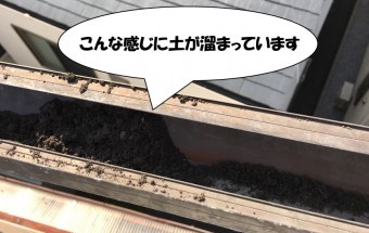 波板先端の樋、土が溜まっている