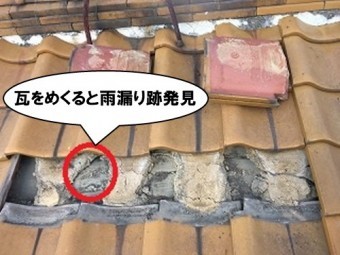 瓦めくると雨漏り跡発見