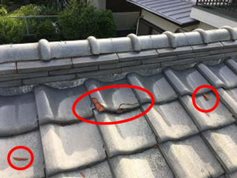 瓦の凍て割れ