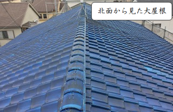 八尾市 北面から見た大屋根