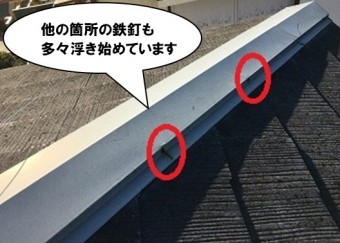 鉄釘の浮き