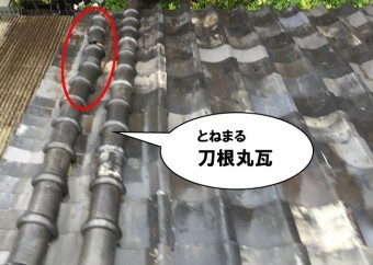 刀根丸