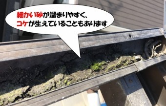 波板先端の樋詰まり