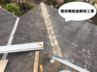 既存棟板金解体工事