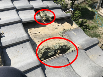 茨木市 新たに土を置きます
