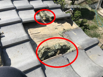 茨木市 新たに土を置きます