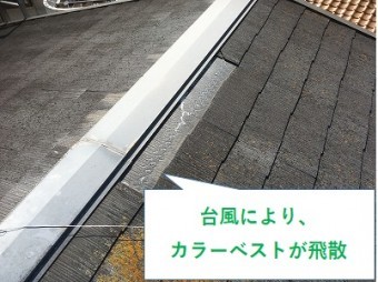 カラーベスト飛散