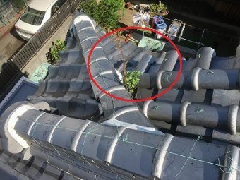 屋根現状