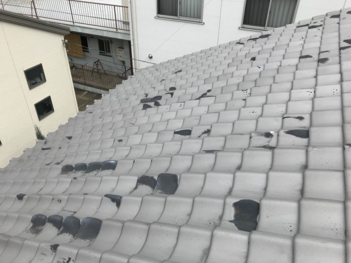 いぶし瓦屋根点検