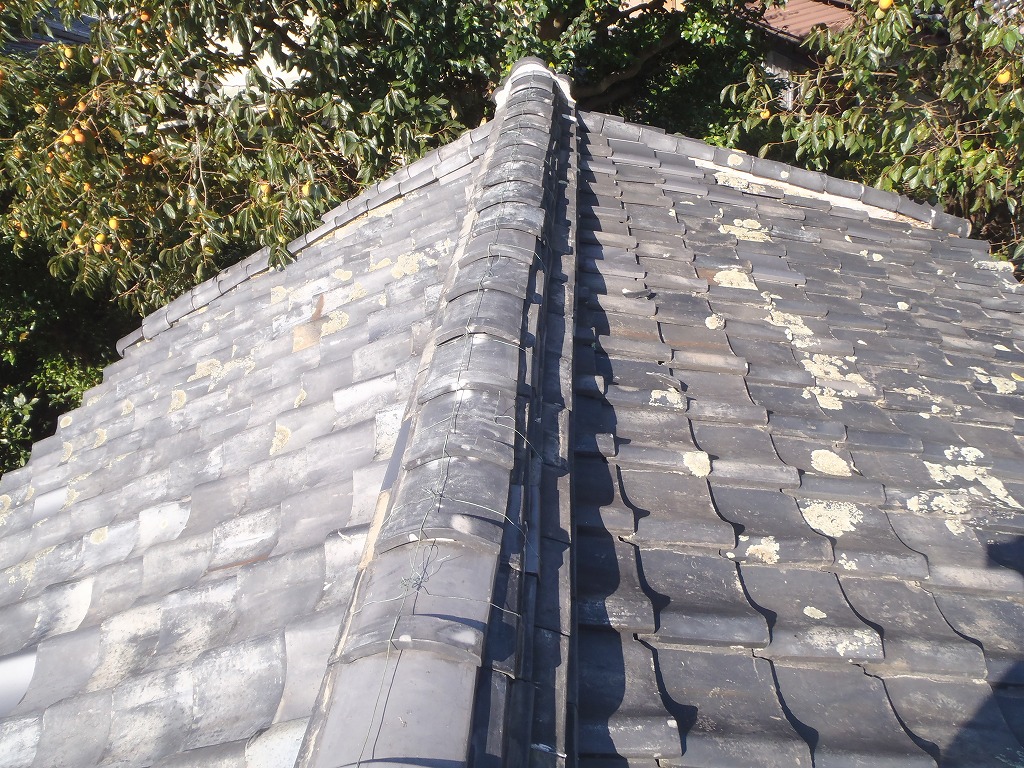 屋根全景　高槻市