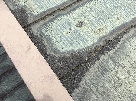 カラーベスト水しみ