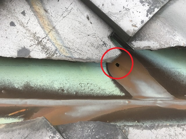 谷穴あき　枚方市