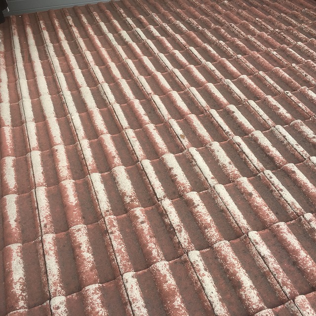 塗膜劣化　守口市