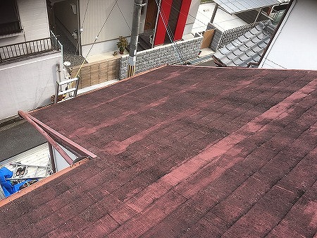 カラーベストまだら