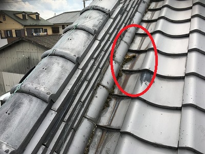 素丸下雑草　枚方市