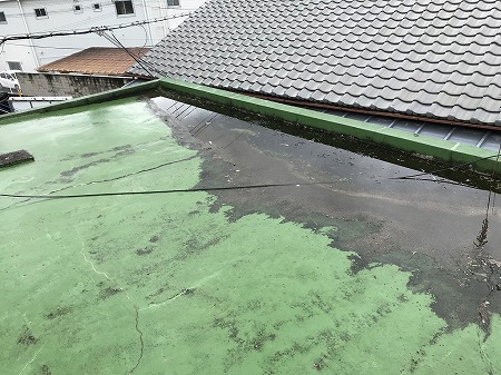 屋上の雨水が流れなく水たまりになってます。