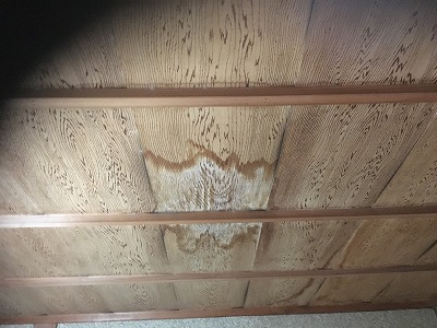 天井のシミ