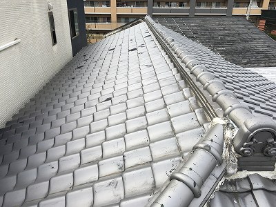 屋根全景　枚方市