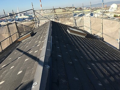 フルベスト20の状態