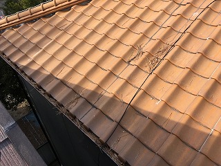 屋根掃除　枚方市
