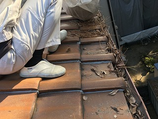 【枚方市】大雨で雨どいから水が溢れる！原因は隣家の「松葉」？