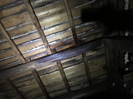 天井裏に上がって雨漏り箇所をチェックします。