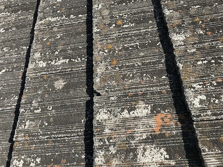 セメント瓦表面こけ